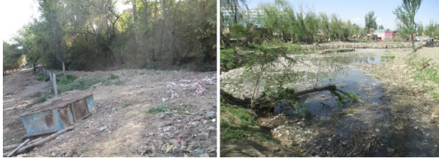 中節能鐵漢: 新疆伊寧市后灘濕地公園 打造“城市綠肺” 共建生態伊寧