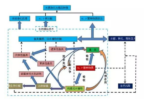 山恒生態典型工程中國 貴安 東方瑞士 小鎮農業觀光園水生態循環系統構建