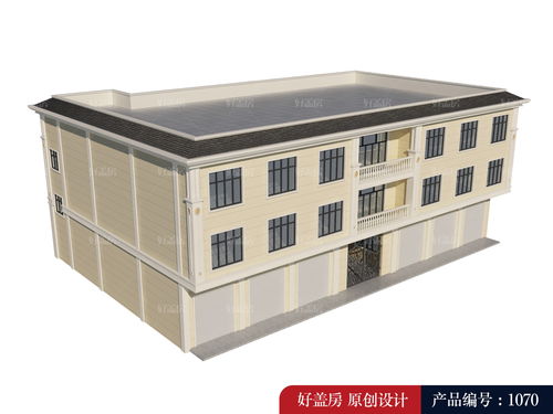 新農村住宅設計與施工